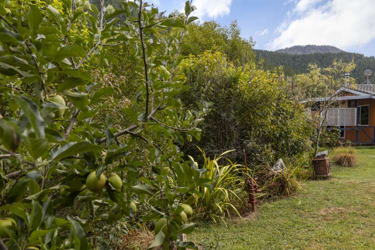 920 Wakamarina Road Havelock_31