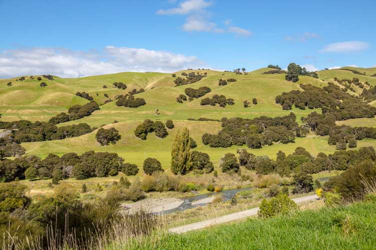 388 Ruakokoputuna Road Ruakokoputuna_4