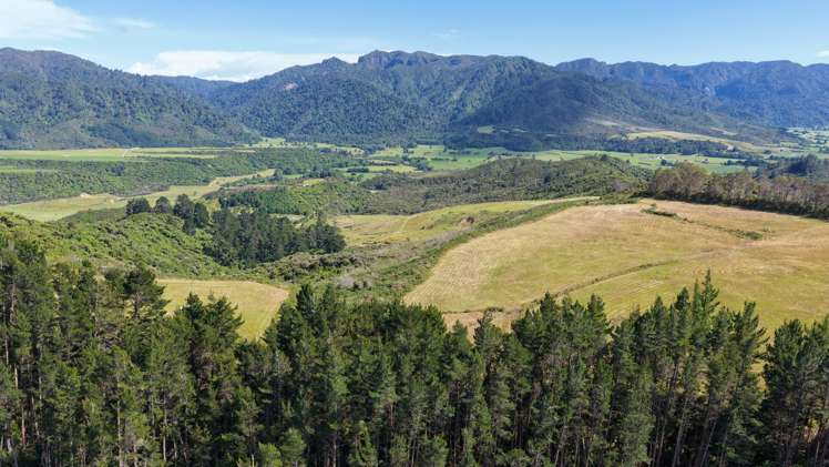 1419 Collingwood-Bainham Main Road Collingwood_15