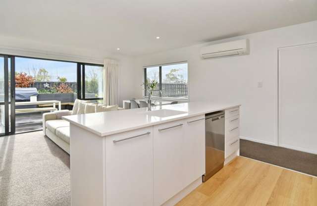 53 Georgina Street Marshland_4