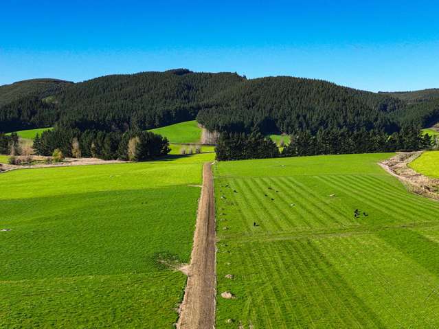 583 Pomahaka Road Pomahaka_1