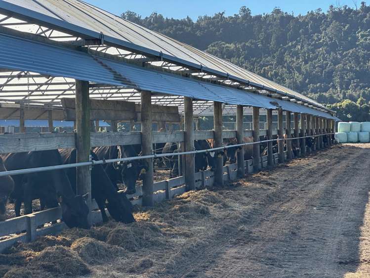 451 Umere Road Karamea_16