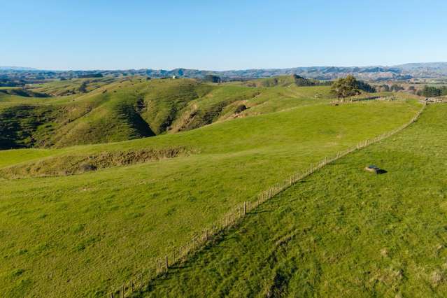 Ridge Road North Pahiatua_4