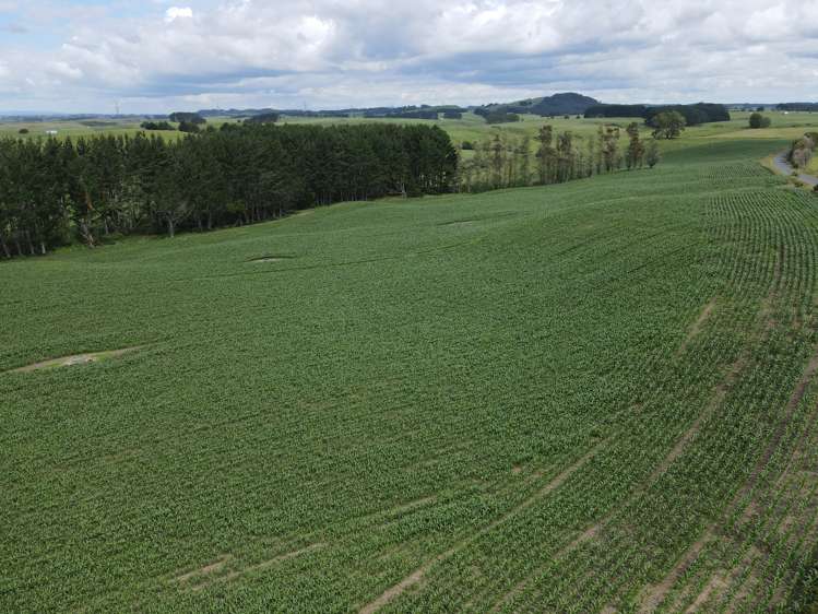 110 Stringers Road Putaruru_17