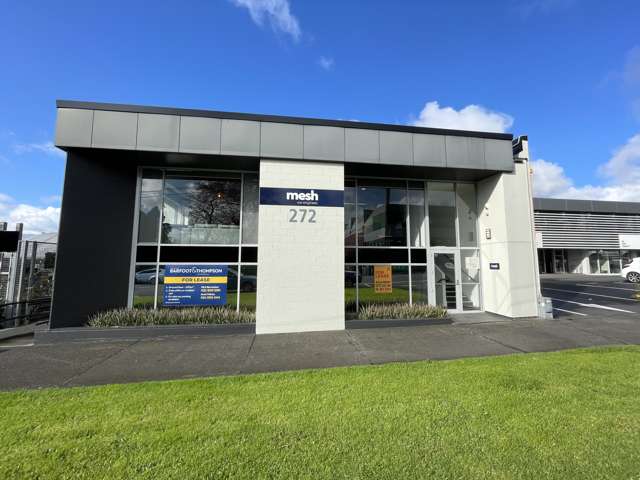 272 Richmond Road Grey Lynn_2