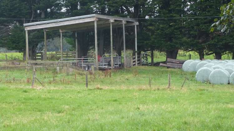 44 Rodgers Road Catlins Surrounds_34