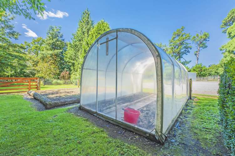 428 Kowai Road Springfield_32