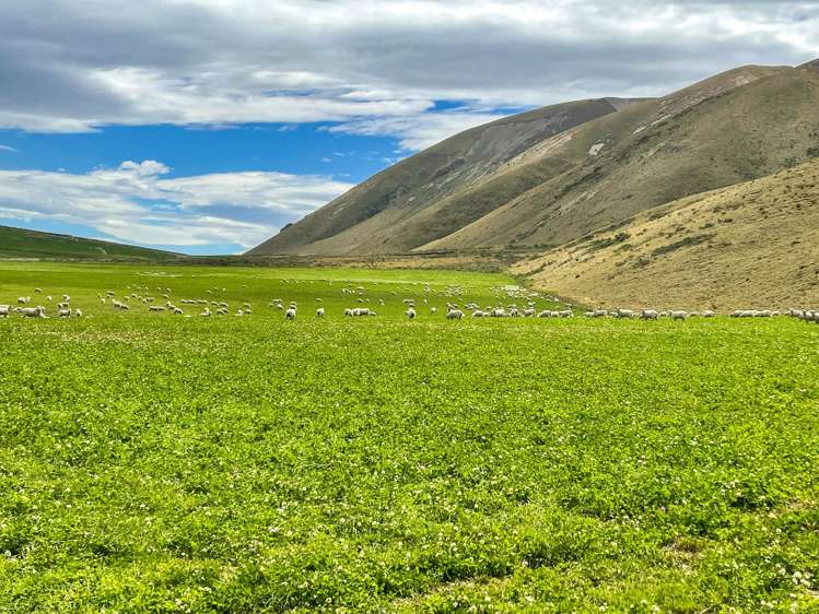 1551 Double Hill Run Road Rakaia Gorge_42