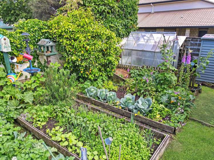 60 Kawaha Point Road Kawaha Point_18