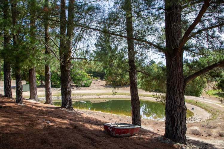 120 Hillview Road Alexandra_37