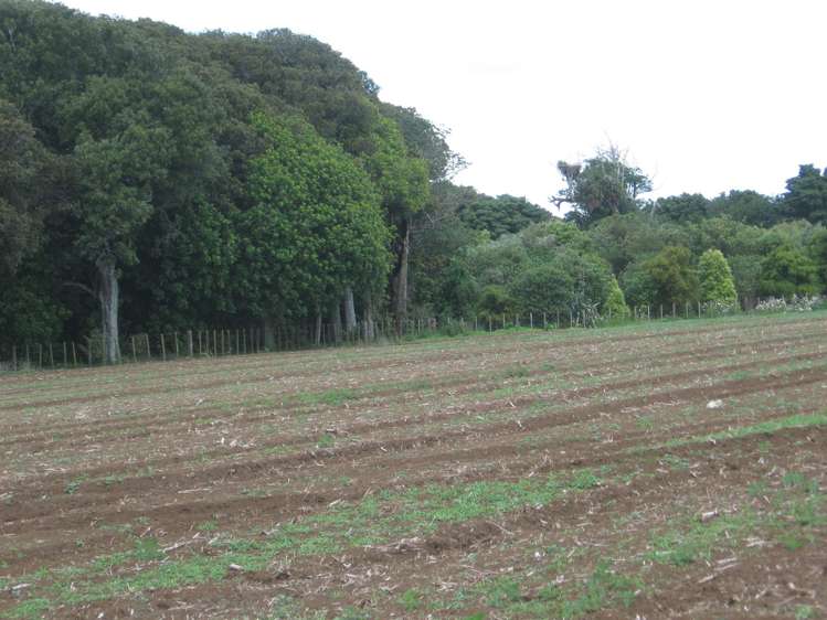 11 Hill Road Waiuku_0