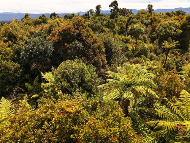 Lot 2 South Terrace Road Karamea_4
