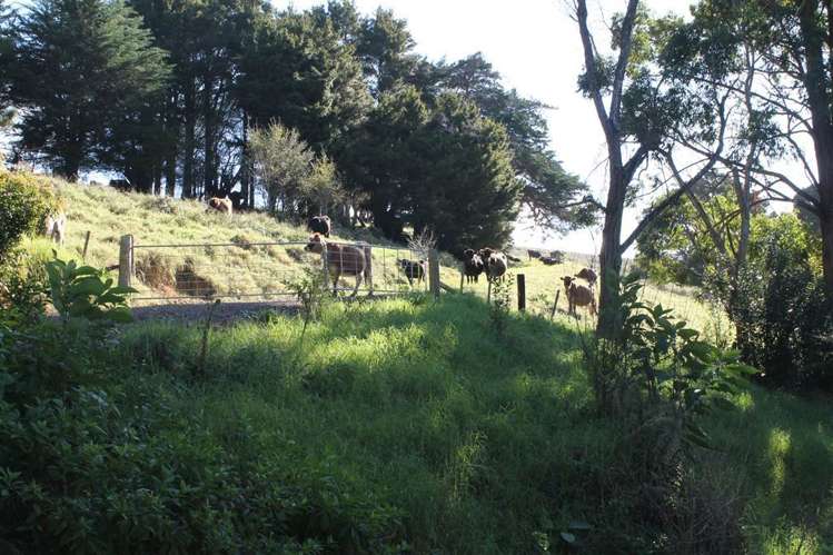 Taraunui Road Parua Bay_13