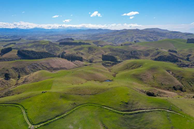 370 Gore Bay Road Gore Bay_5