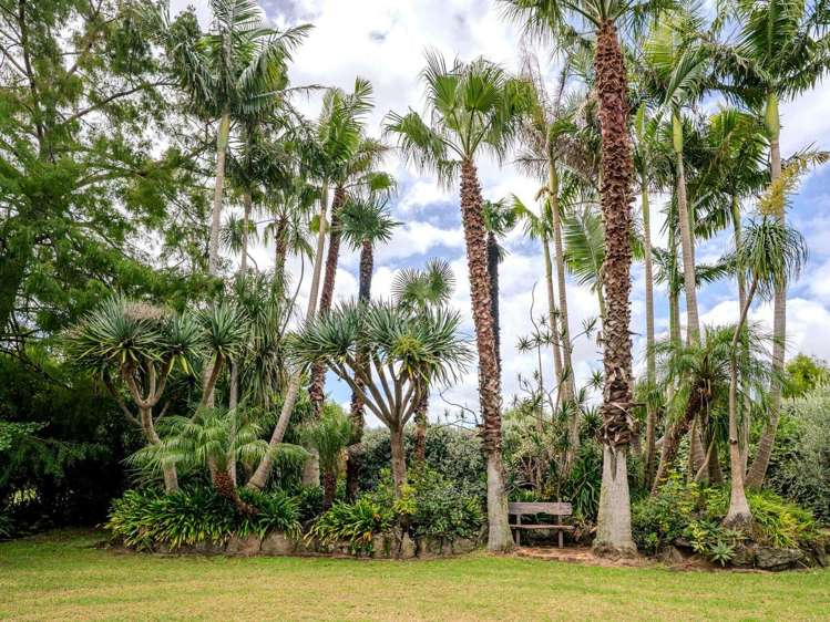 6 Kendall Road Kerikeri_27