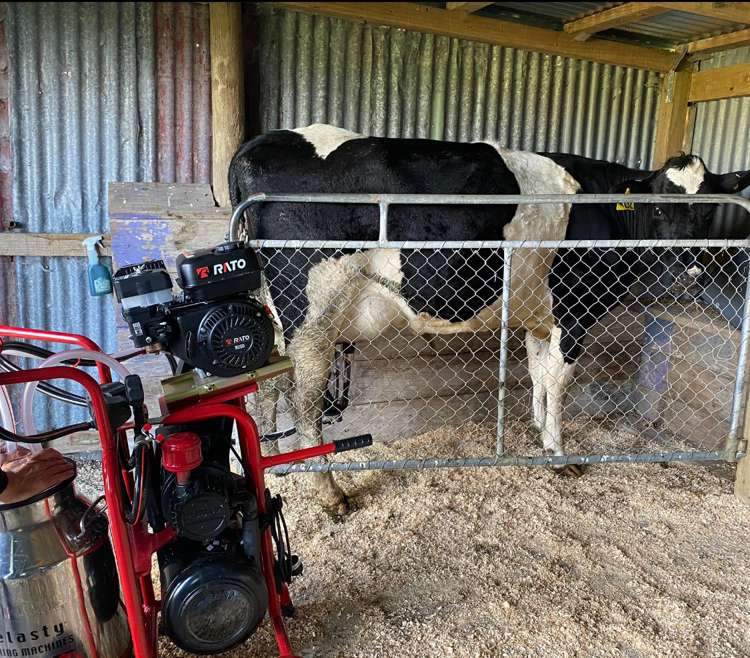 116 Clifford Road Eltham_42