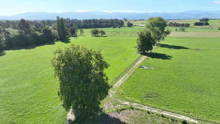 72 Taumata Island Road Taumata Island_5