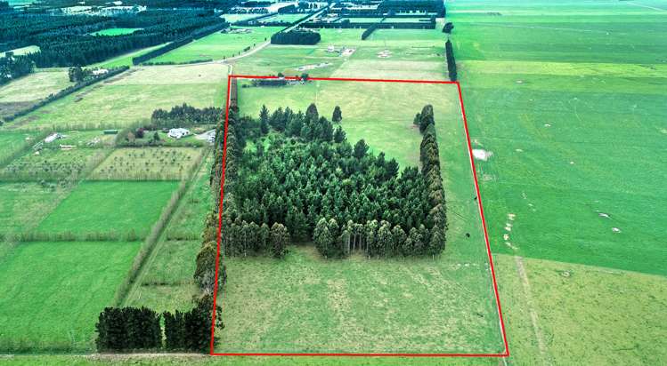 291 Karanga Road Dunsandel_25