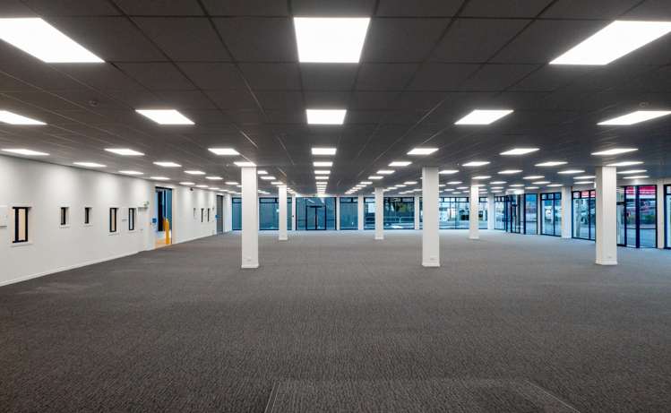 93 Dominion Road Mt Eden_3