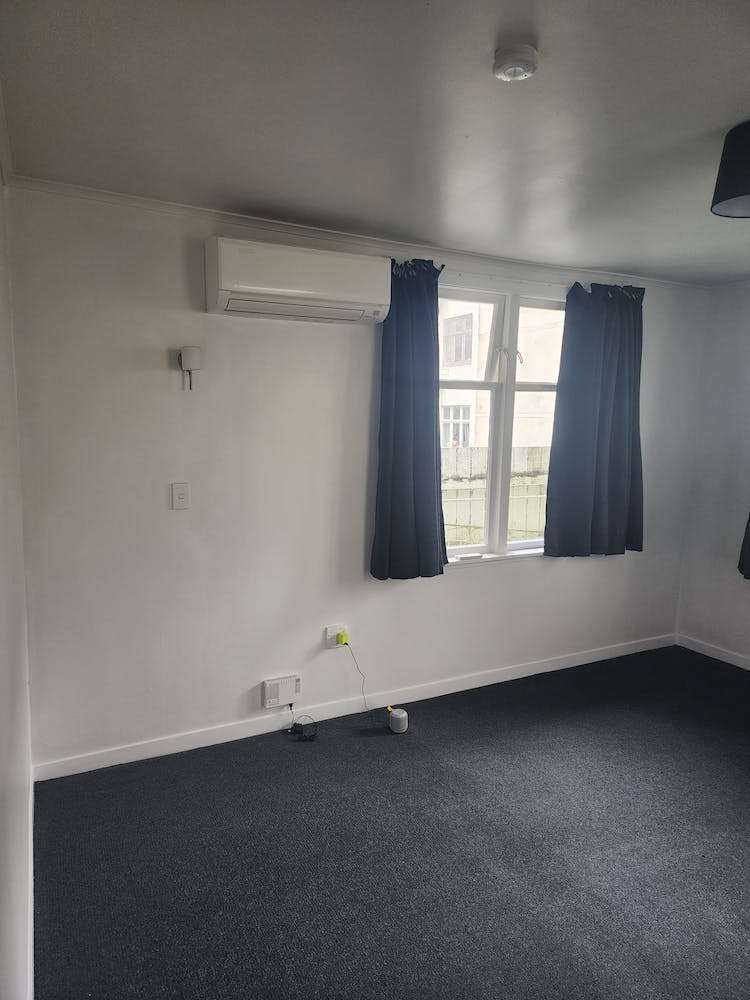 1 Baring Street Oriental Bay_6