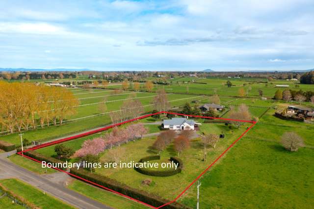 188 Bellevue Road Matangi_1