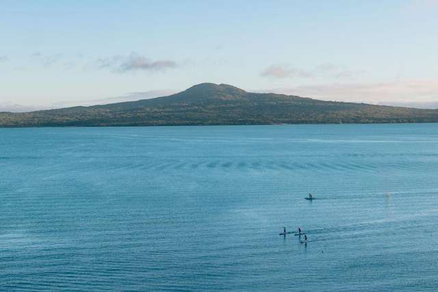 20 Springcombe Road St Heliers_3