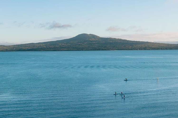 20 Springcombe Road_3