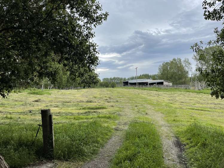 147 Chicory Road Inch Clutha_9