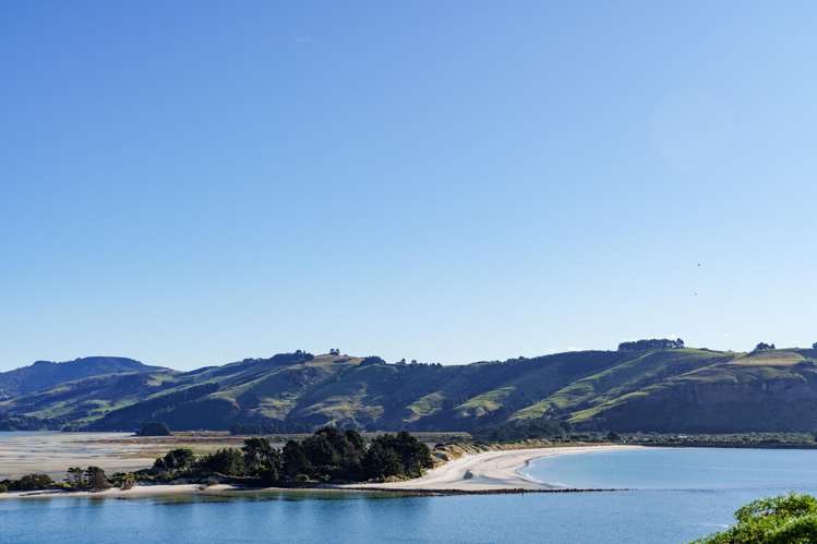 928 Harington Point Road Harington Point_29