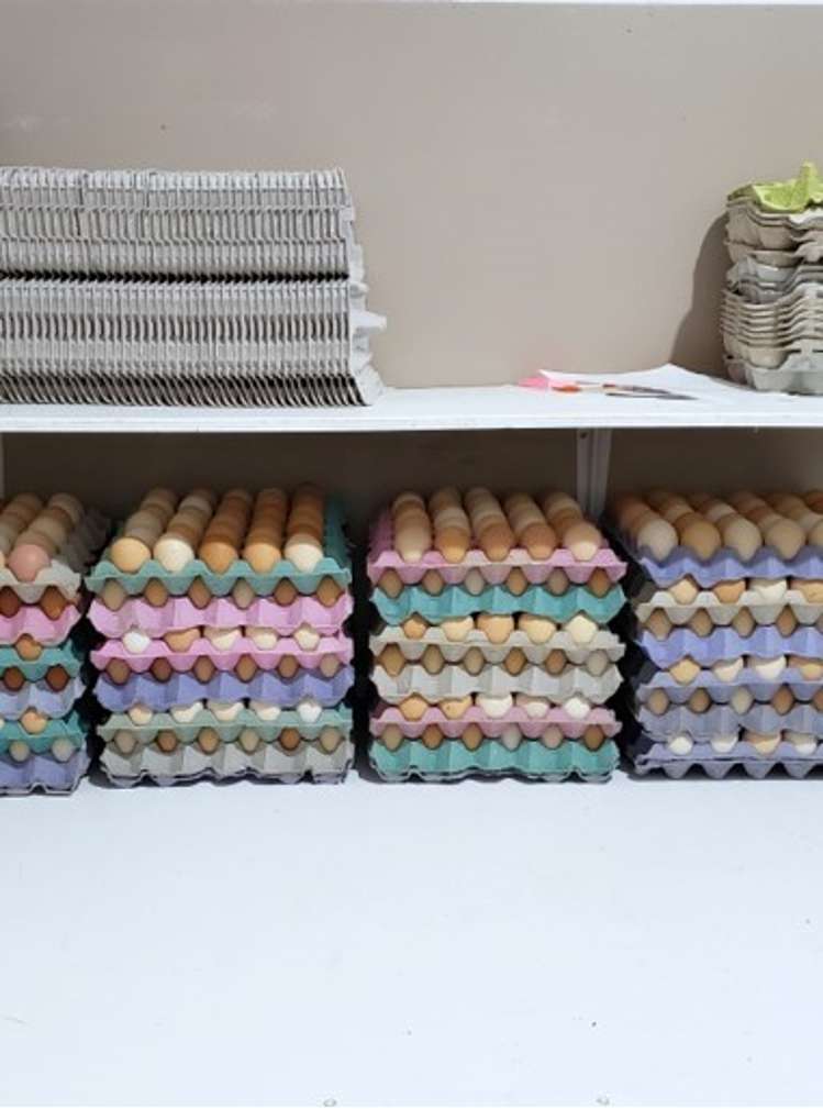 275 Riwaka Valley Road Motueka_29