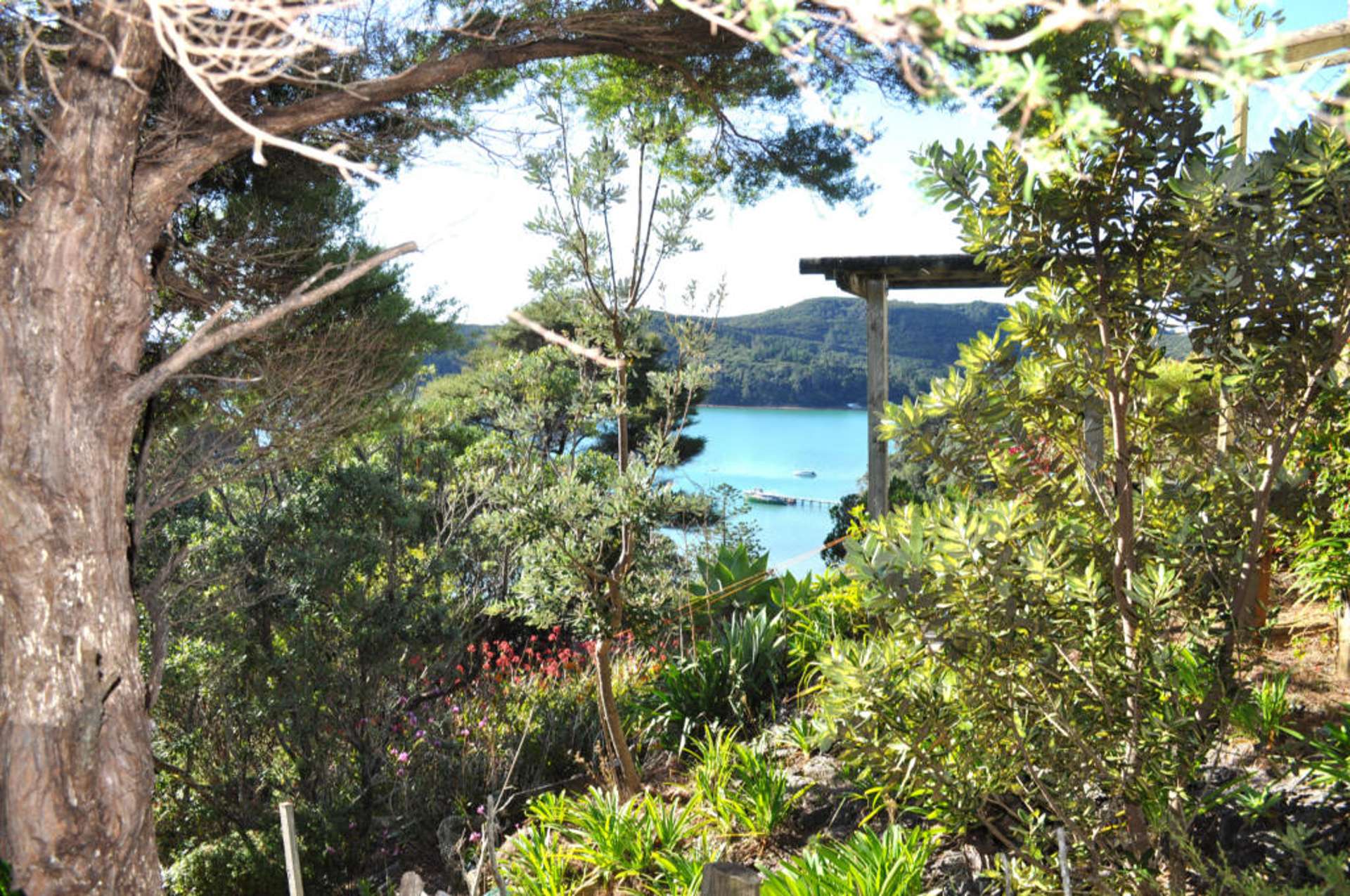 7 Lavinia Place Kawau Island_0