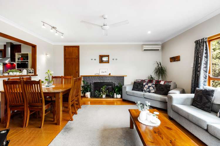 1010 Totara Street Mahora_7