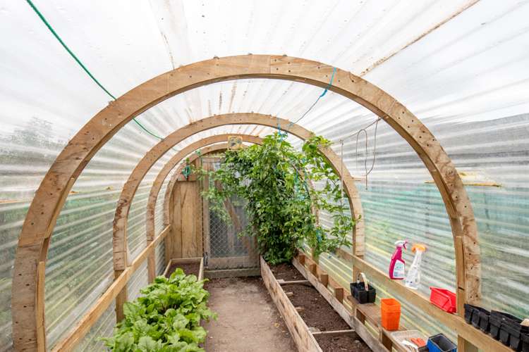 32 Benner Drive Ngatea_10