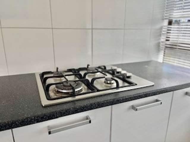 80 Millbrook Road (back house) Henderson_3