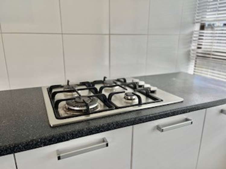 80 Millbrook Road (back house) Henderson_3