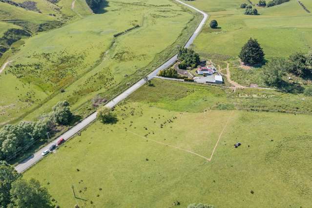 Waitahuna Gully Road Waitahuna_3