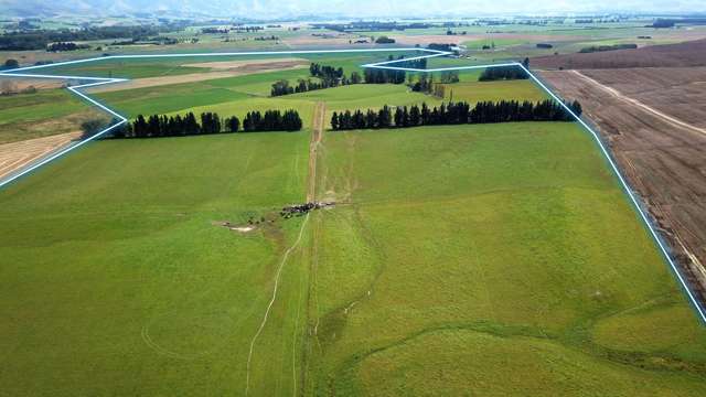 'Foxburn' - Dairy Support for Immediate Takeover