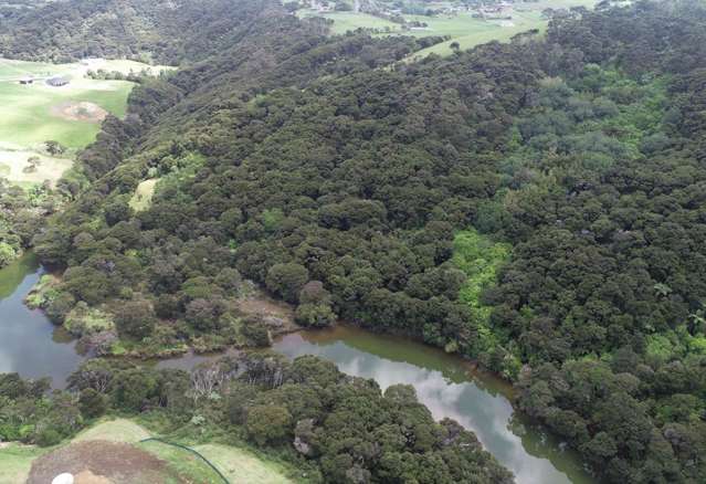 62 Waitete Heights Lane Kerikeri_3