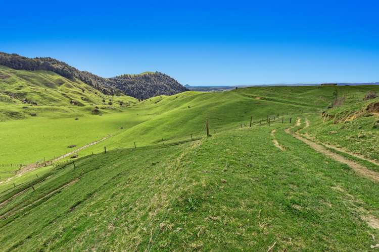 950 Braemar Road Rotoma_19