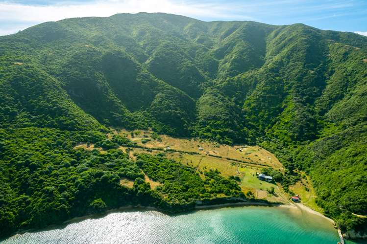 Lot 8 and 10 Onauku Bay Arapaoa Island_11