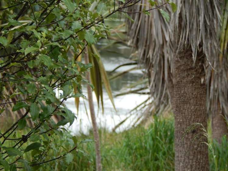 47 Lighthouse Road Cape Foulwind_7