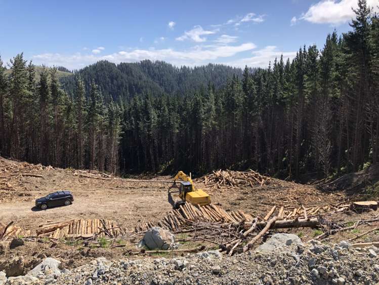 Duncan Road Waimata_5