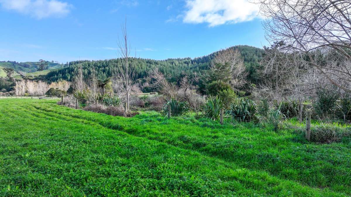 131 Puriri Valley Road_3