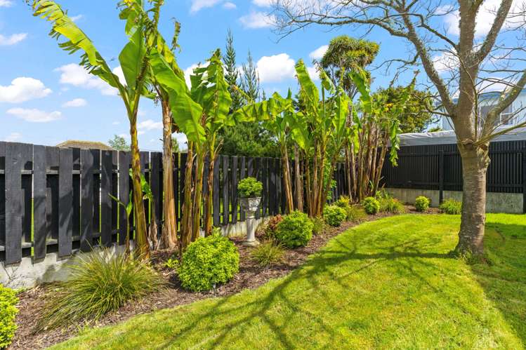 9 Meads Place Bulls_20