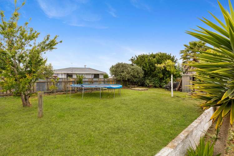 14 Moore Avenue Tawhero_1