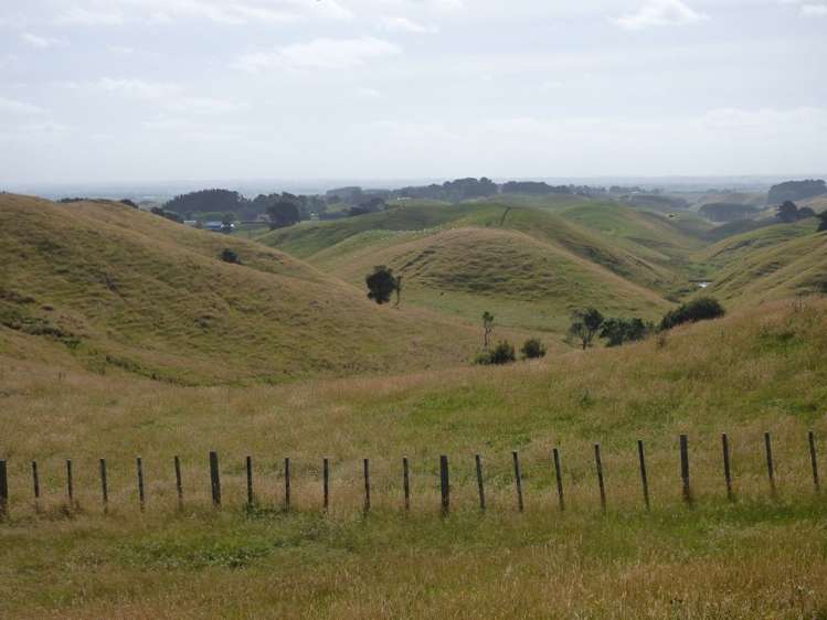 729 Midland Road Bunnythorpe_13