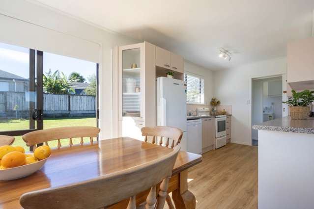 91 Solar Road Glen Eden_2