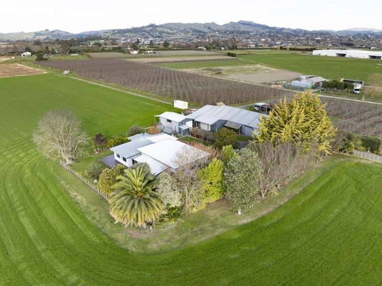 252 Napier Road_1