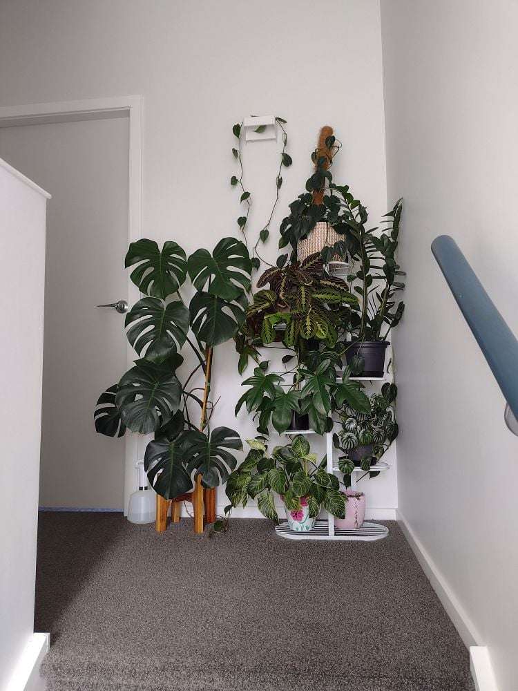 33D Bracken Road Paparangi_15