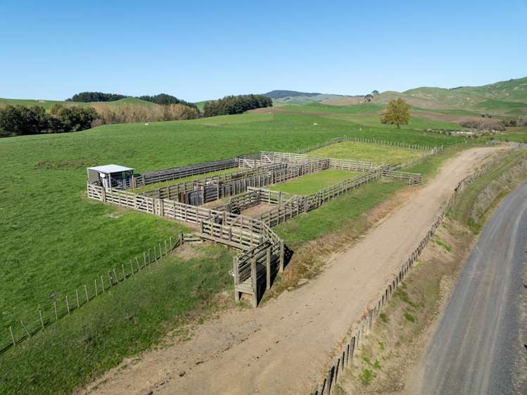 24 Waterworks Road Morrinsville_12